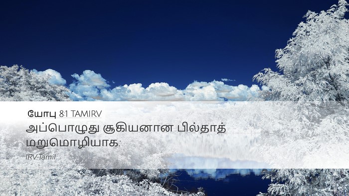 யோபு 8:1 TAMIRV Bible Verse Image