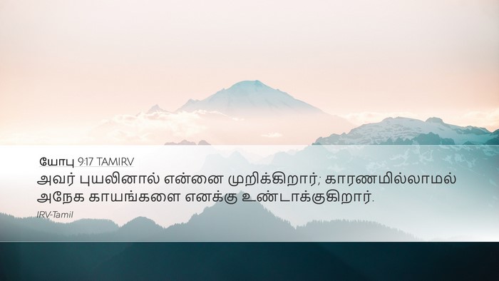 யோபு 9:17 TAMIRV Bible Verse Image