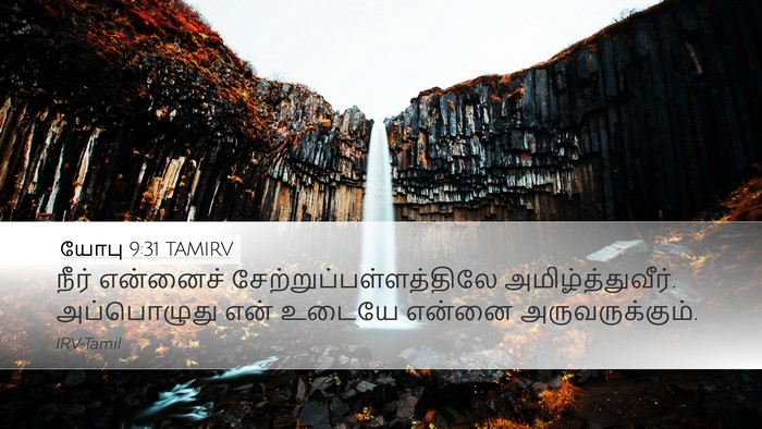 யோபு 9:31 TAMIRV Bible Verse Image