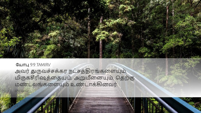 யோபு 9:9 TAMIRV Bible Verse Image