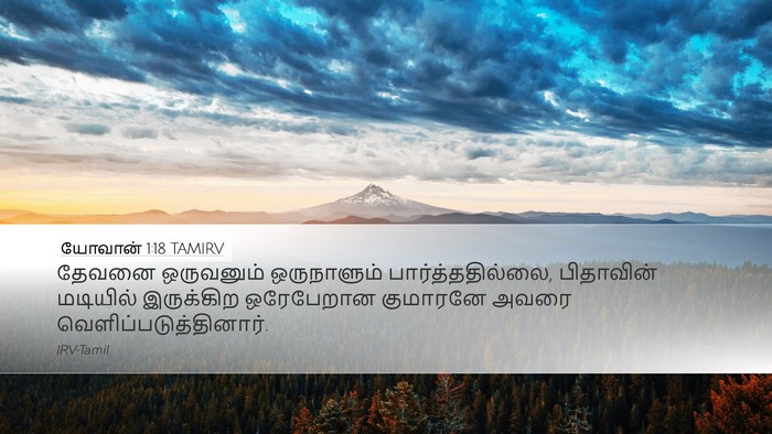 யோவான் 1:18 TAMIRV Bible Verse Image