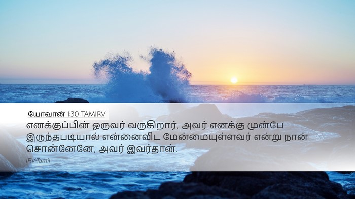 யோவான் 1:30 TAMIRV Bible Verse Image