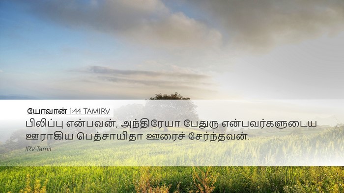 யோவான் 1:44 TAMIRV Bible Verse Image