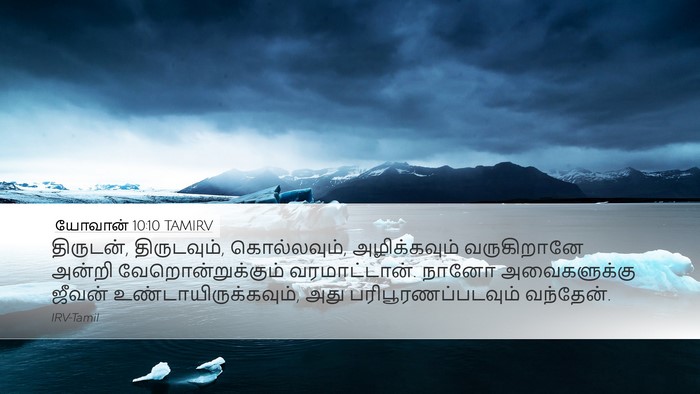 யோவான் 10:10 TAMIRV Bible Verse Image