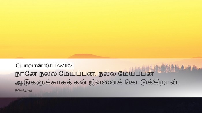 யோவான் 10:11 TAMIRV Bible Verse Image