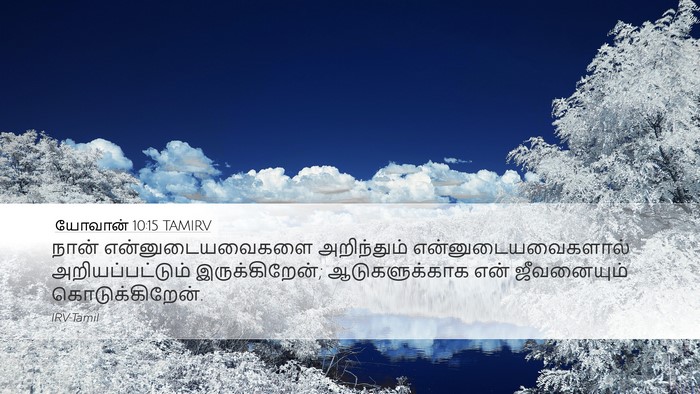 யோவான் 10:15 TAMIRV Bible Verse Image