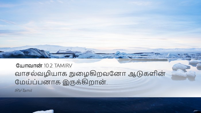 யோவான் 10:2 TAMIRV Desktop Wallpaper - வாசல்வழியாக - Desktop Bible Verse Wallpaper
