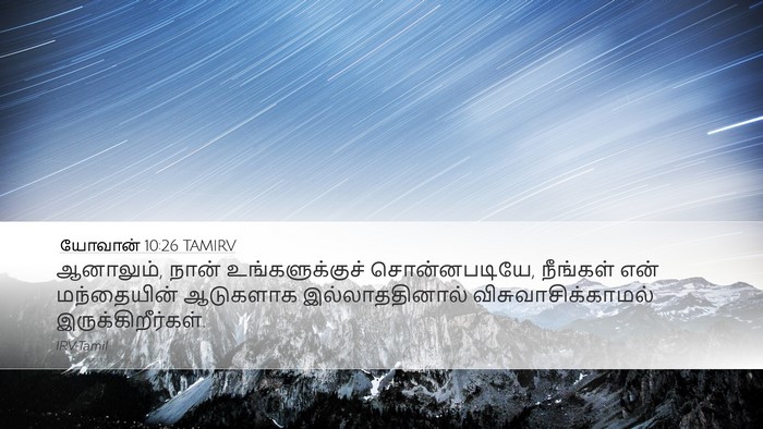 யோவான் 10:26 TAMIRV Bible Verse Image
