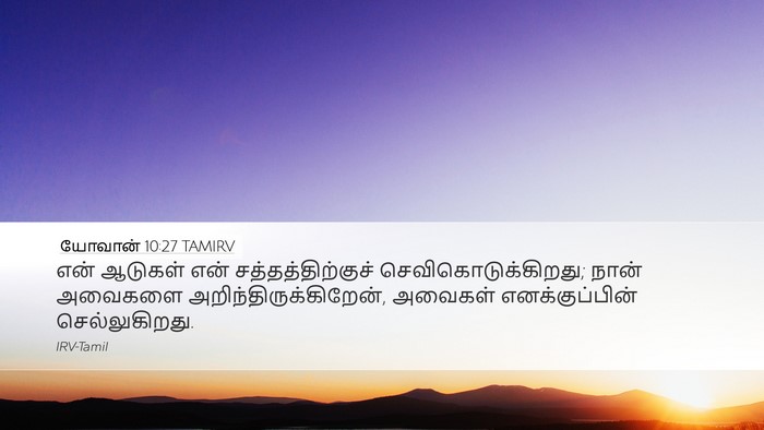 யோவான் 10:27 TAMIRV Bible Verse Image