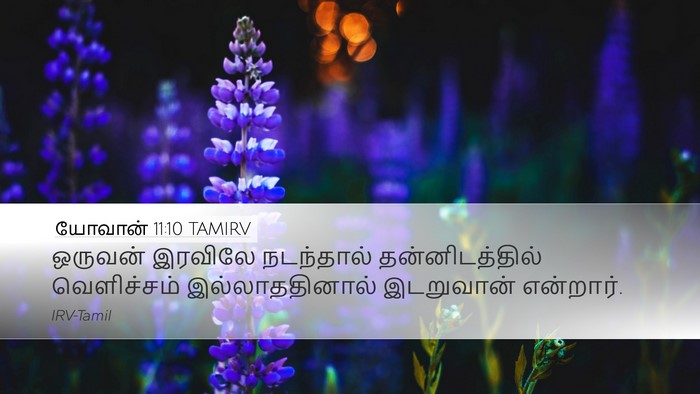 யோவான் 11:10 TAMIRV Bible Verse Image