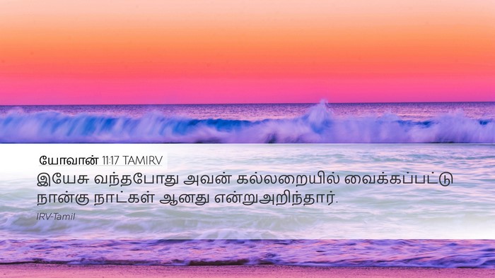 யோவான் 11:17 TAMIRV Bible Verse Image