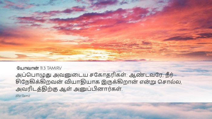 யோவான் 11:3 TAMIRV Bible Verse Image