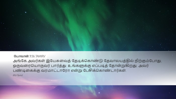 யோவான் 11:56 TAMIRV Desktop Wallpaper - அங்கே அவர்கள் - Desktop Bible Verse Wallpaper