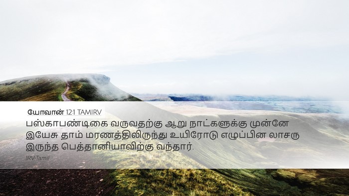 யோவான் 12:1 TAMIRV Bible Verse Image