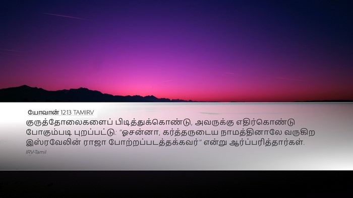 யோவான் 12:13 TAMIRV Bible Verse Image
