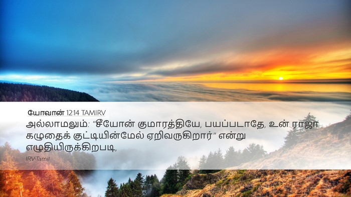 யோவான் 12:14 TAMIRV Bible Verse Image