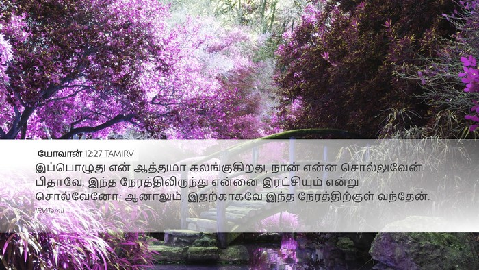 யோவான் 12:27 TAMIRV Bible Verse Image