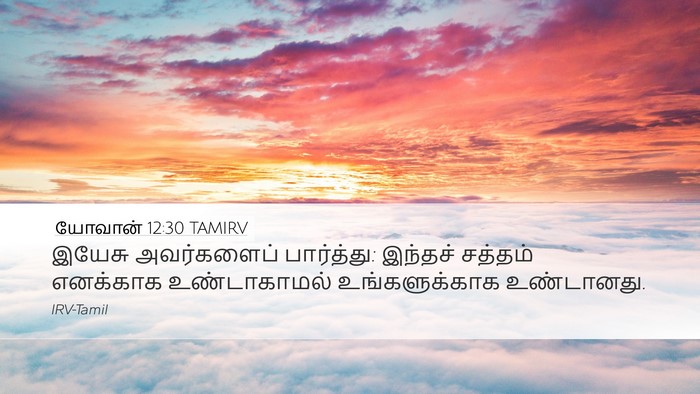 யோவான் 12:30 TAMIRV Bible Verse Image