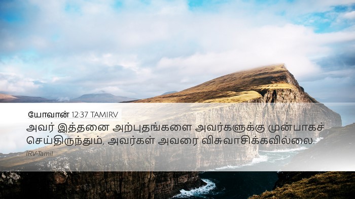 யோவான் 12:37 TAMIRV Bible Verse Image