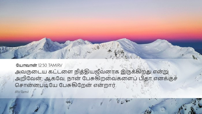 யோவான் 12:50 TAMIRV Bible Verse Image