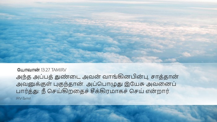 யோவான் 13:27 TAMIRV Bible Verse Image