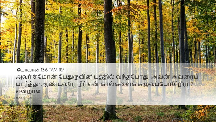 யோவான் 13:6 TAMIRV Bible Verse Image