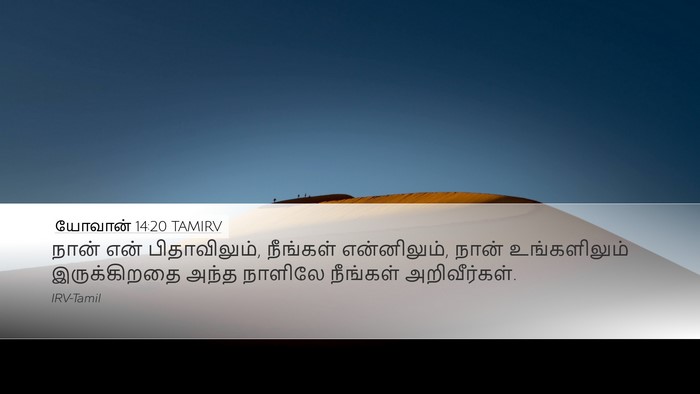 யோவான் 14:20 TAMIRV Bible Verse Image