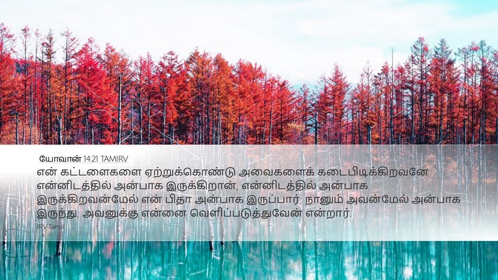 யோவான் 14:21 TAMIRV Bible Verse Image