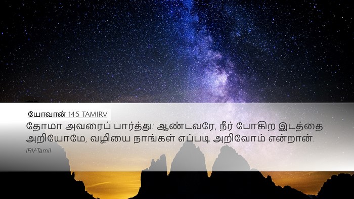 யோவான் 14:5 TAMIRV Desktop Wallpaper - தோமா அவரைப் - Desktop Bible Verse Wallpaper