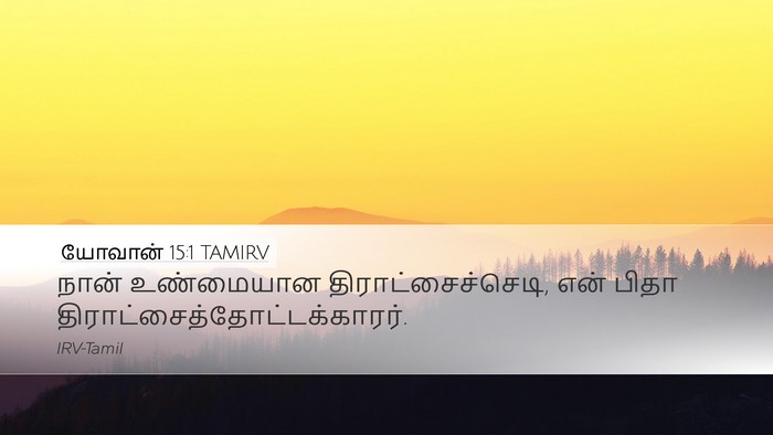 யோவான் 15:1 TAMIRV Bible Verse Image