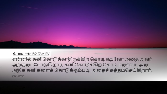 யோவான் 15:2 TAMIRV Bible Verse Image