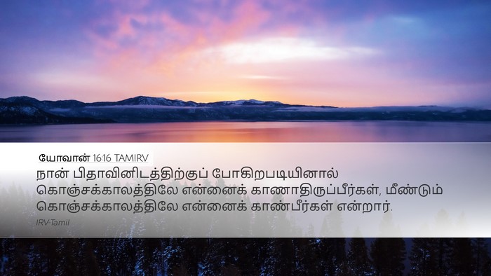 யோவான் 16:16 TAMIRV Bible Verse Image
