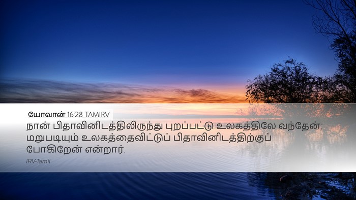 யோவான் 16:28 TAMIRV Bible Verse Image