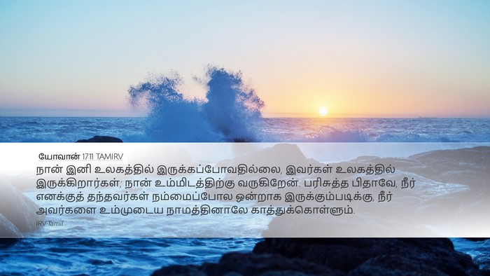 யோவான் 17:11 TAMIRV Bible Verse Image