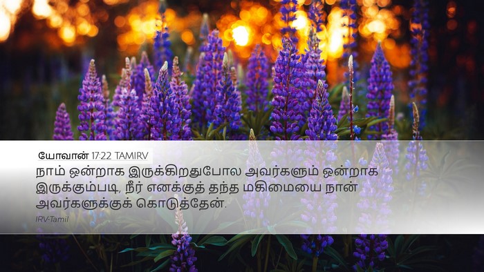 யோவான் 17:22 TAMIRV Bible Verse Image
