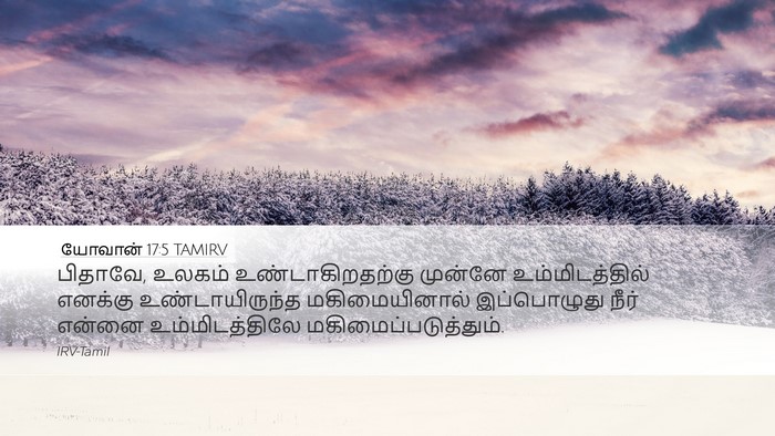 யோவான் 17:5 TAMIRV Bible Verse Image