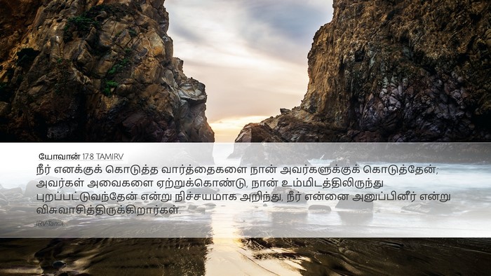யோவான் 17:8 TAMIRV Bible Verse Image