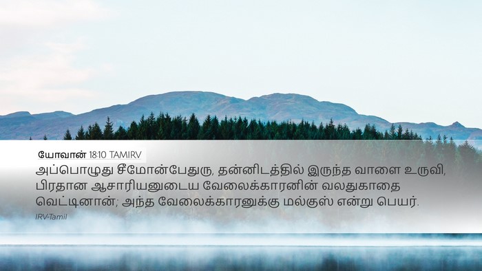 யோவான் 18:10 TAMIRV Bible Verse Image