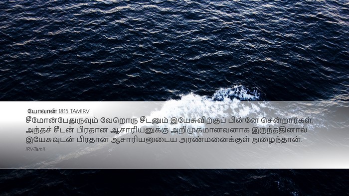 யோவான் 18:15 TAMIRV Bible Verse Image