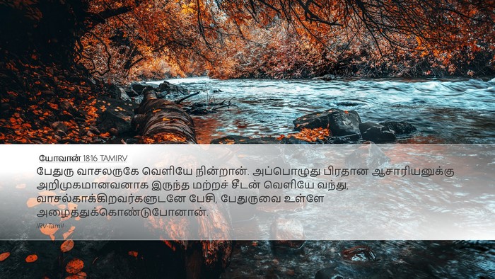 யோவான் 18:16 TAMIRV Bible Verse Image