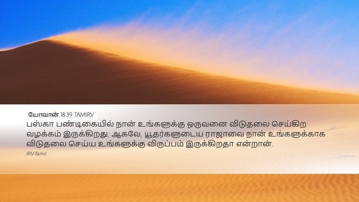 யோவான் 18:39 TAMIRV Bible Verse Image
