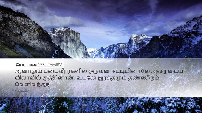 யோவான் 19:34 TAMIRV Bible Verse Image