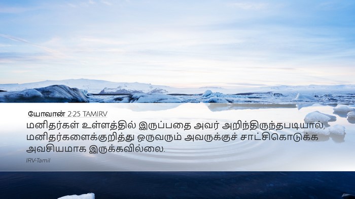 யோவான் 2:25 TAMIRV Bible Verse Image