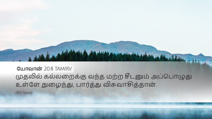 யோவான் 20:8 TAMIRV Bible Verse Image