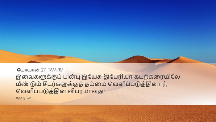 யோவான் 21:1 TAMIRV Bible Verse Image