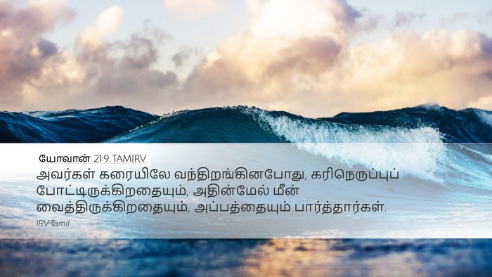 யோவான் 21:9 TAMIRV Bible Verse Image