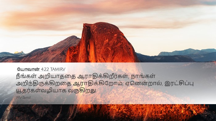 யோவான் 4:22 TAMIRV Bible Verse Image