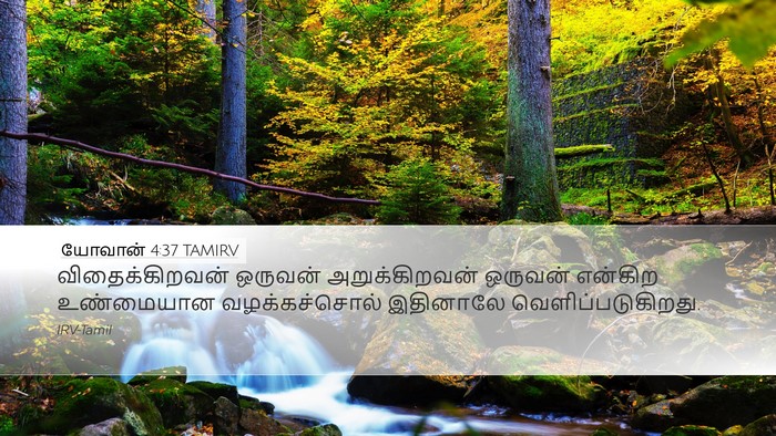யோவான் 4:37 TAMIRV Bible Verse Image
