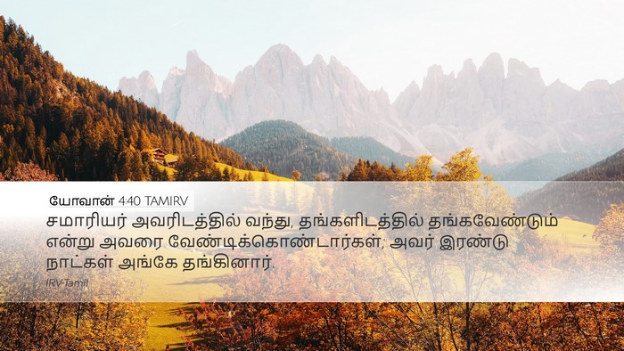 யோவான் 4:40 TAMIRV Bible Verse Image