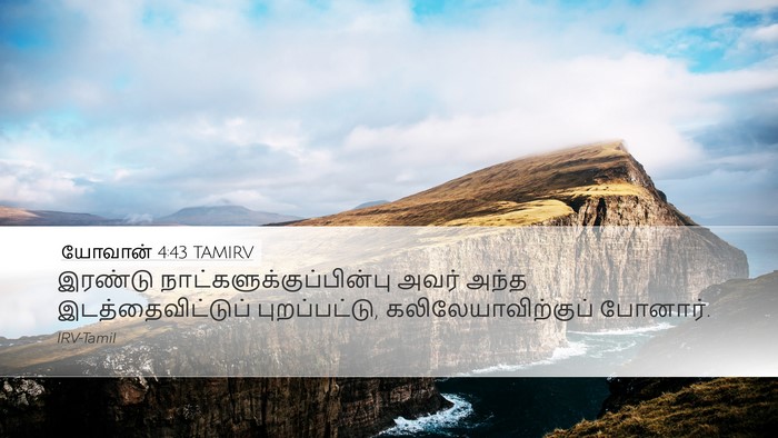 யோவான் 4:43 TAMIRV Bible Verse Image